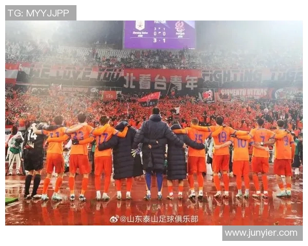 足球节盛典欢聚一堂球迷共庆激情与梦想的盛宴