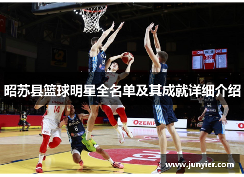 昭苏县篮球明星全名单及其成就详细介绍