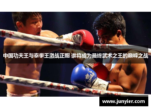 中国功夫王与泰拳王激战正酣 谁将成为最终武术之王的巅峰之战