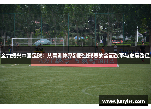 全力振兴中国足球：从青训体系到职业联赛的全面改革与发展路径