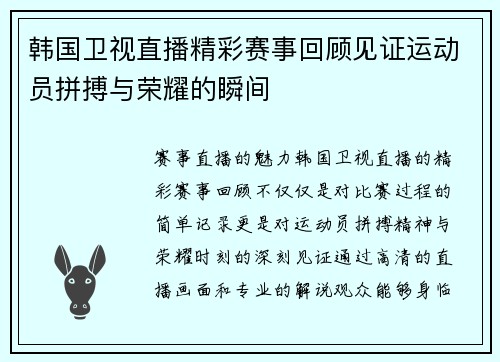 韩国卫视直播精彩赛事回顾见证运动员拼搏与荣耀的瞬间